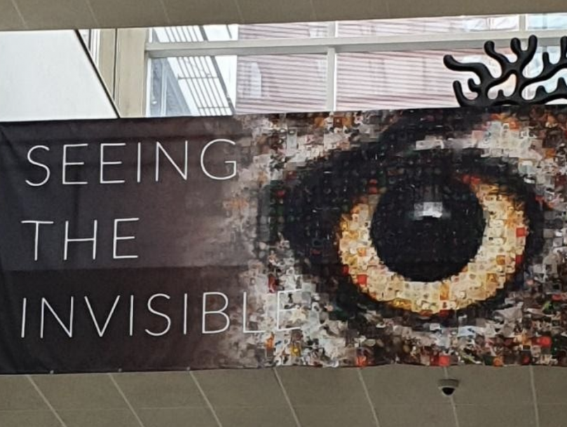 Maahanmuuttostrategia: kuvituskuva, jossa banderolli, jossa silmä sekä teksti "Seeing the visible".